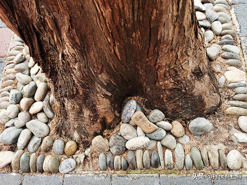 甜爱路漂亮吗,甜爱路概况
