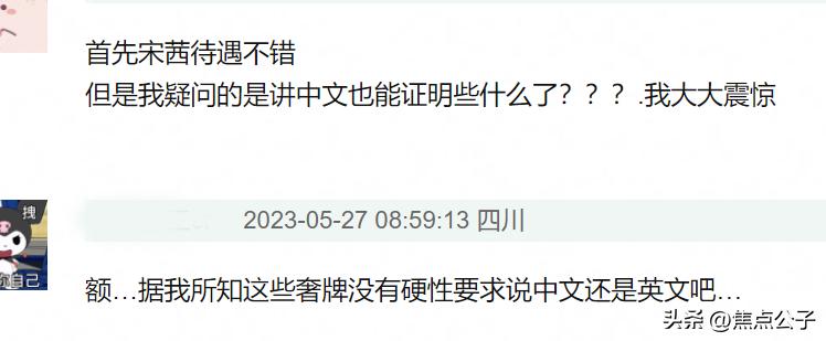 宋茜lv全球全线代言人,宋茜lv代言人最后一期