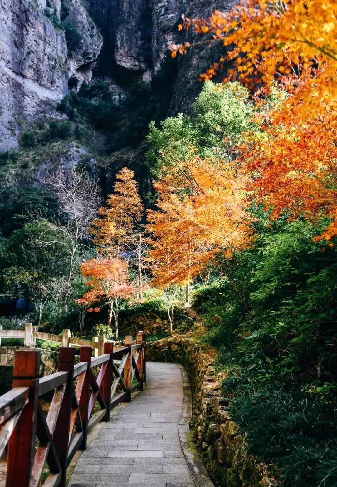 浙江最值得去的十大景区,浙江玉环十大景区排名