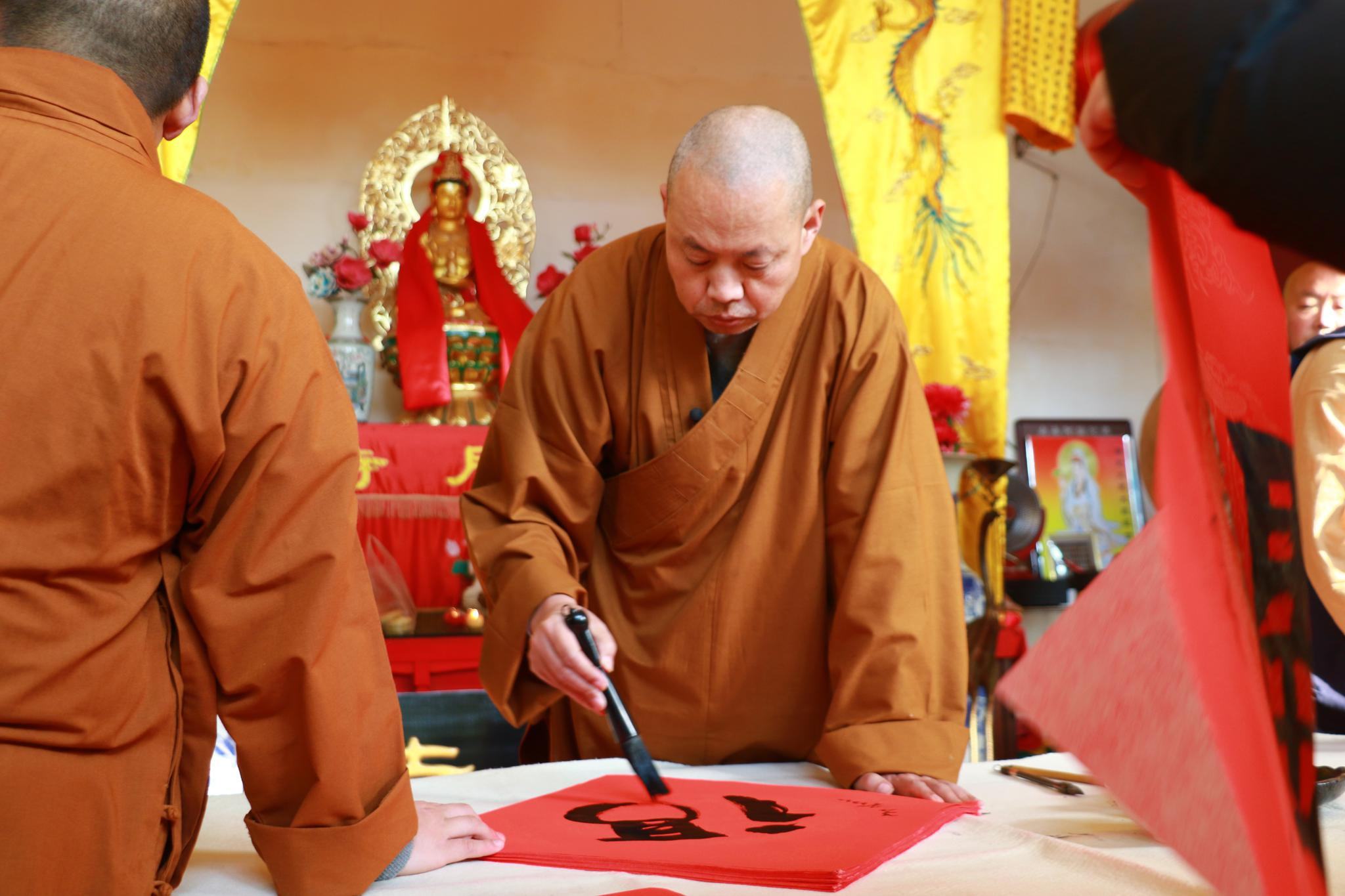 延参法师被猴耍的搞笑视频,延参法师淡定斗猴系列视频