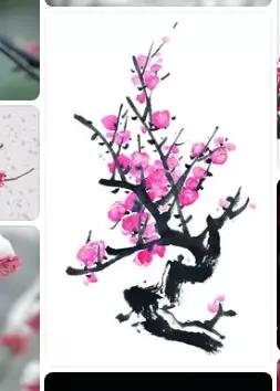 农民地里种什么赚钱收益快 (今年农民种什么最赚钱)