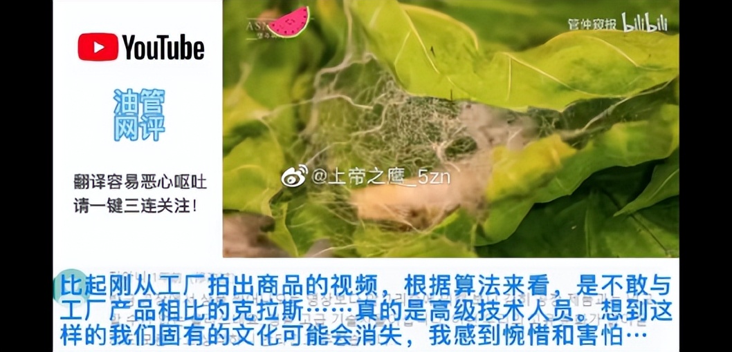 韩国又来“偷家”了，将丝绸改名“明紬”后申遗成功？有被无语到