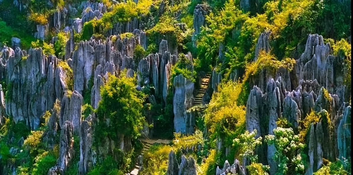 逛吃逛吃逛吃，跟着动车出发3.0