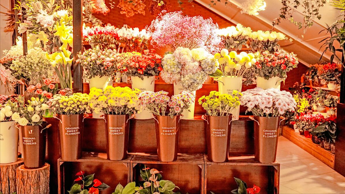 花店创业的发展规划,花店创业的基本条件及可行性分析