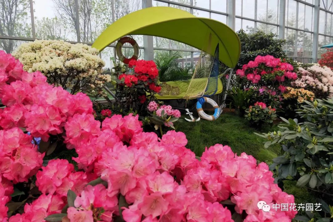 盆栽花卉行情,盆栽花卉市场2016行情分析