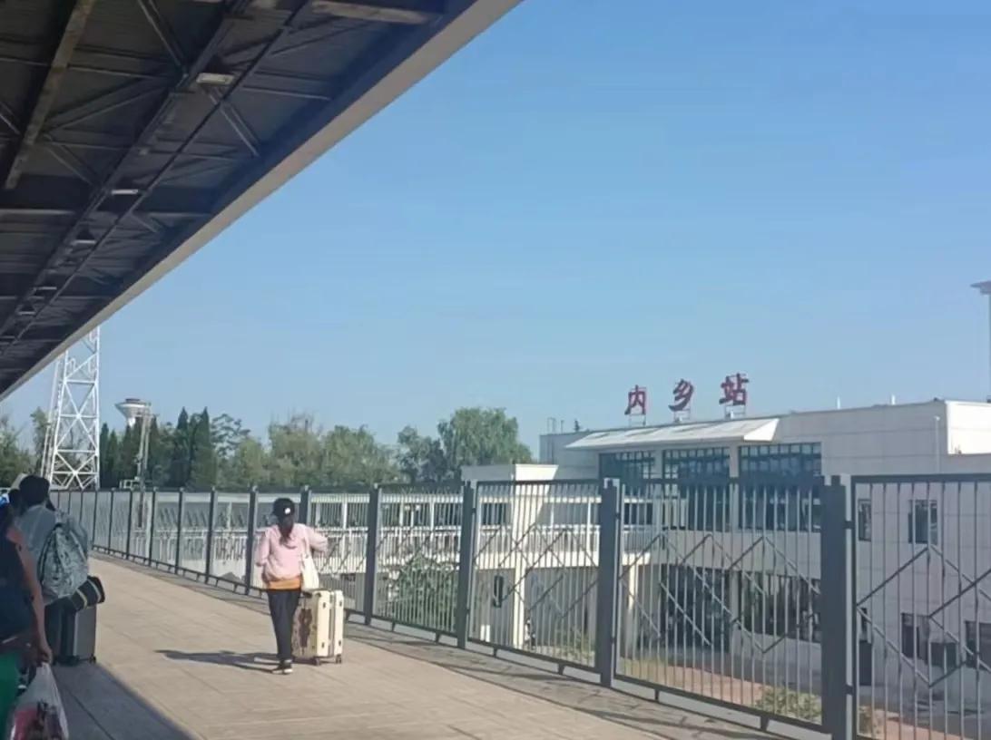 走进田间地头实践感悟二年级,走进故乡感受乡情作文