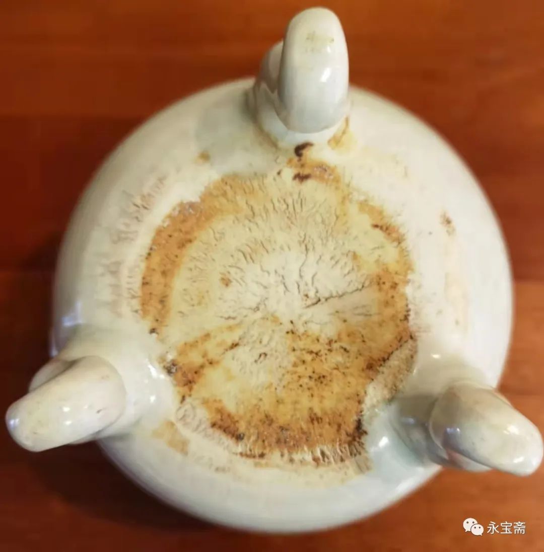 弗洛伊德是什么时代的人,弗洛伊德简介