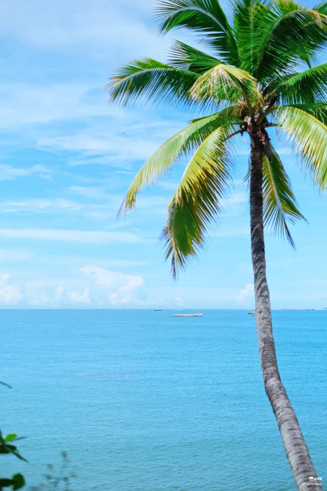 北纬52°1314，这个“为爱而生”的地方，连空气都是甜的