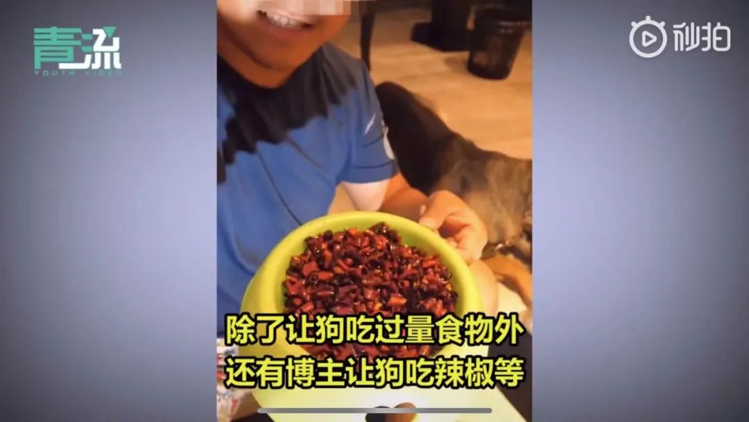 六百万网红想洗白反被封，他哭了狗笑了？网友：他活该