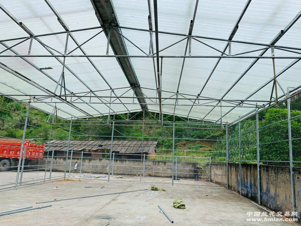 80鍚庡皬浼欏吇鍏扮殑骞冲焊鐢熸椿,90鍚庡吇鍏颁汉鎴愬姛妗堜緥