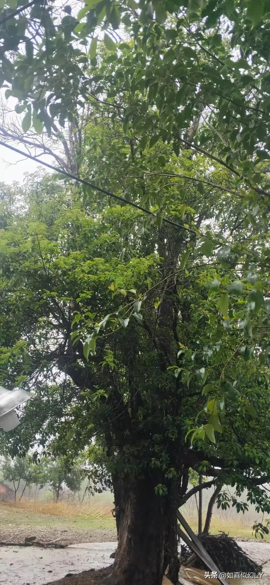 新手写五百万字的小说能挣多少钱,写小说投稿怎么能年入50万