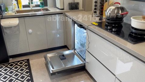 洗碗机w20w30,海尔洗碗机w20w30选择哪个