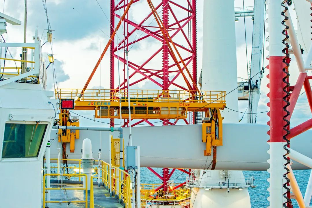 世界顶级海洋日,海洋世界鲸鱼和巨型章鱼战斗