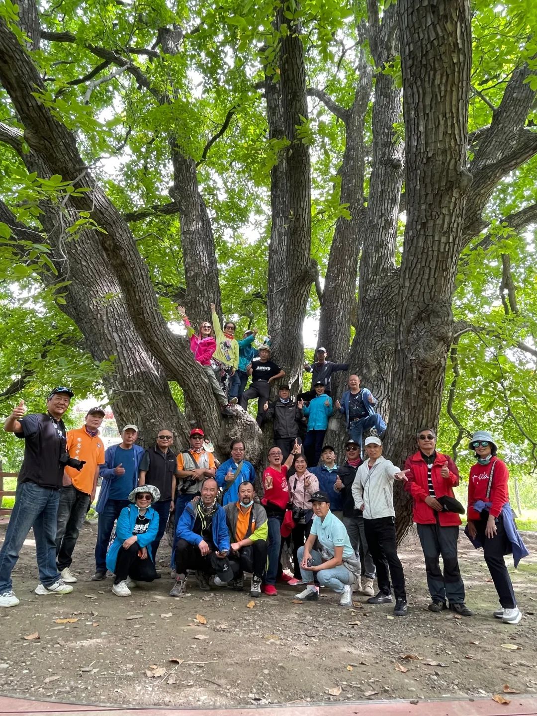 半个中国自驾15天旅游攻略,45天单车自驾30000里环游中国游记