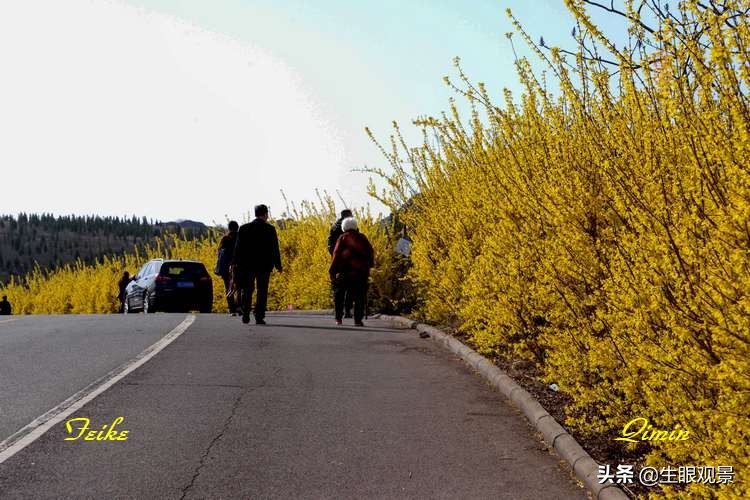 北京近郊春景,济南近郊春景