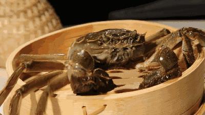 活螃蟹直接煮会痛苦吗,煮螃蟹是不是太残忍了
