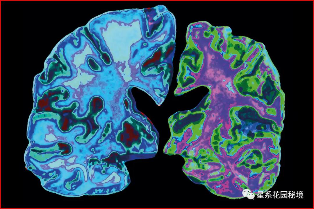 美国学术造假事件,科学数据造假著名事件