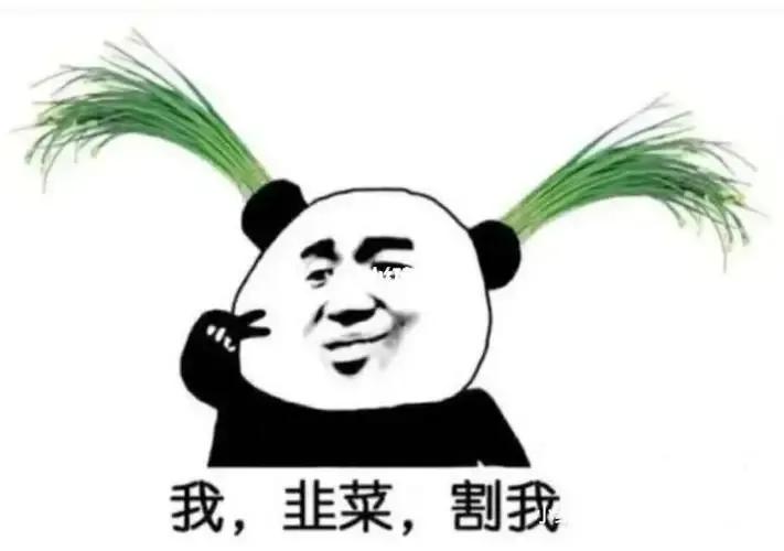 当欠了很多外债的时候应该怎么办,欠了5万外债我该怎么办