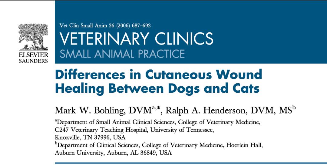 犬和猫,犬猫伤口和皮肤病的区别