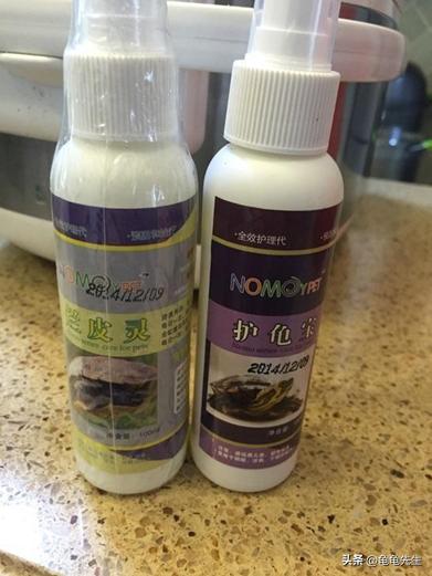 养乌龟又有哪些常识和技巧,新手养乌龟的十条建议