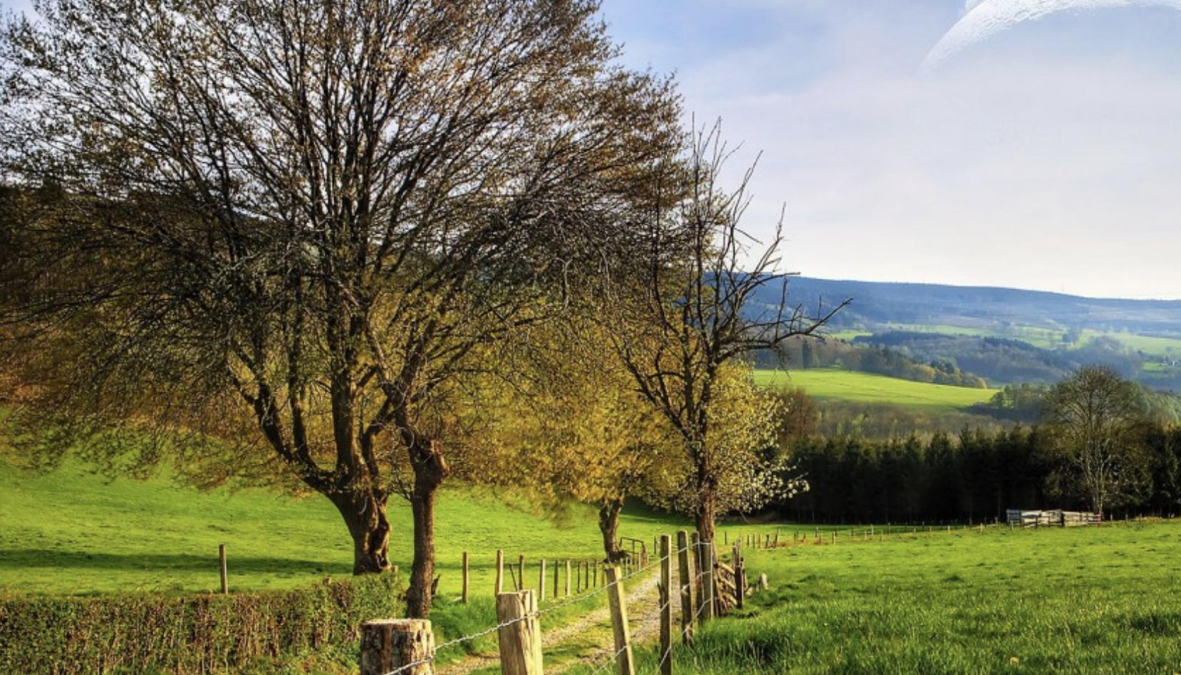 低调有能力甘于平凡的星座不炫耀,内心坦荡对人很少有防备心的星座