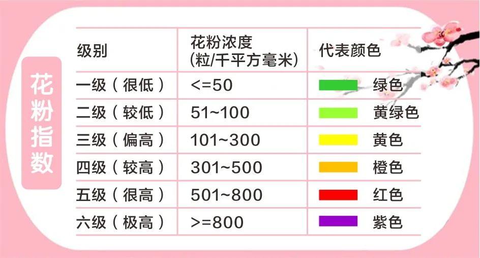 什么树会引起过敏性鼻炎,城市种植什么树最好