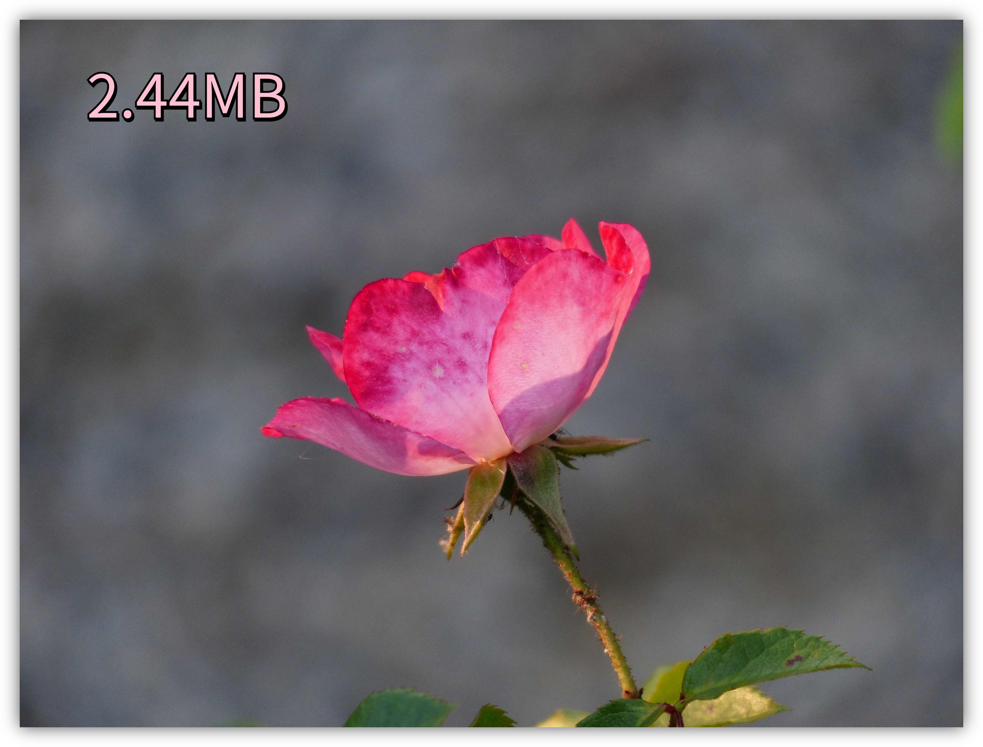 怎么压缩图片大小到30以下,有什么办法快速压缩图片大小