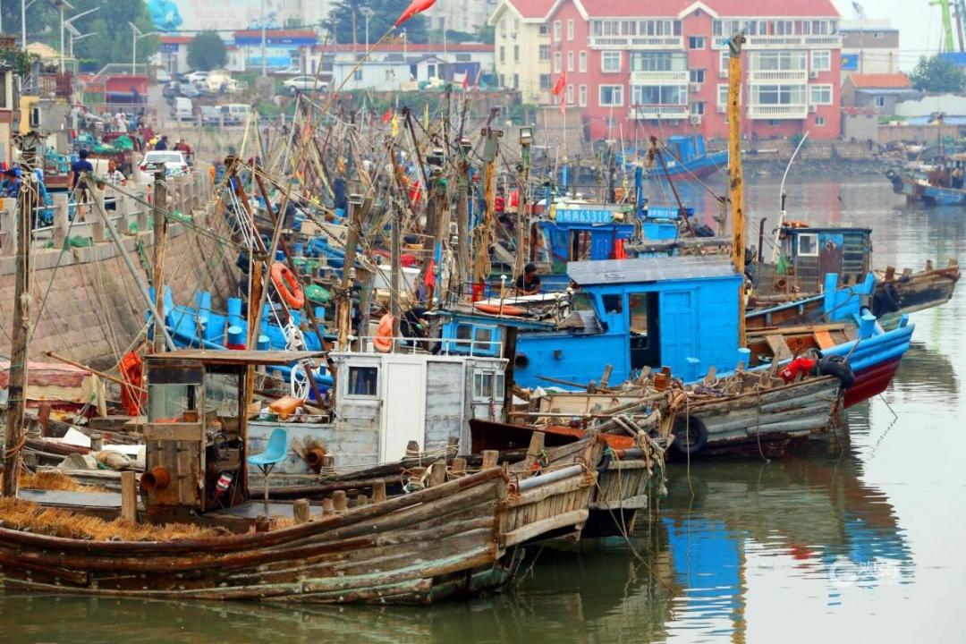 深入研究了青岛海鲜市场后，我重新理解了可持续的食物系统