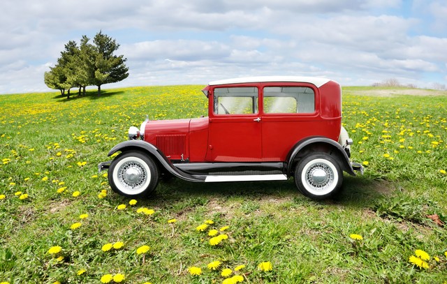 我到现在也没明白，是被逼着去学开车的还是自愿的？有同款吗？