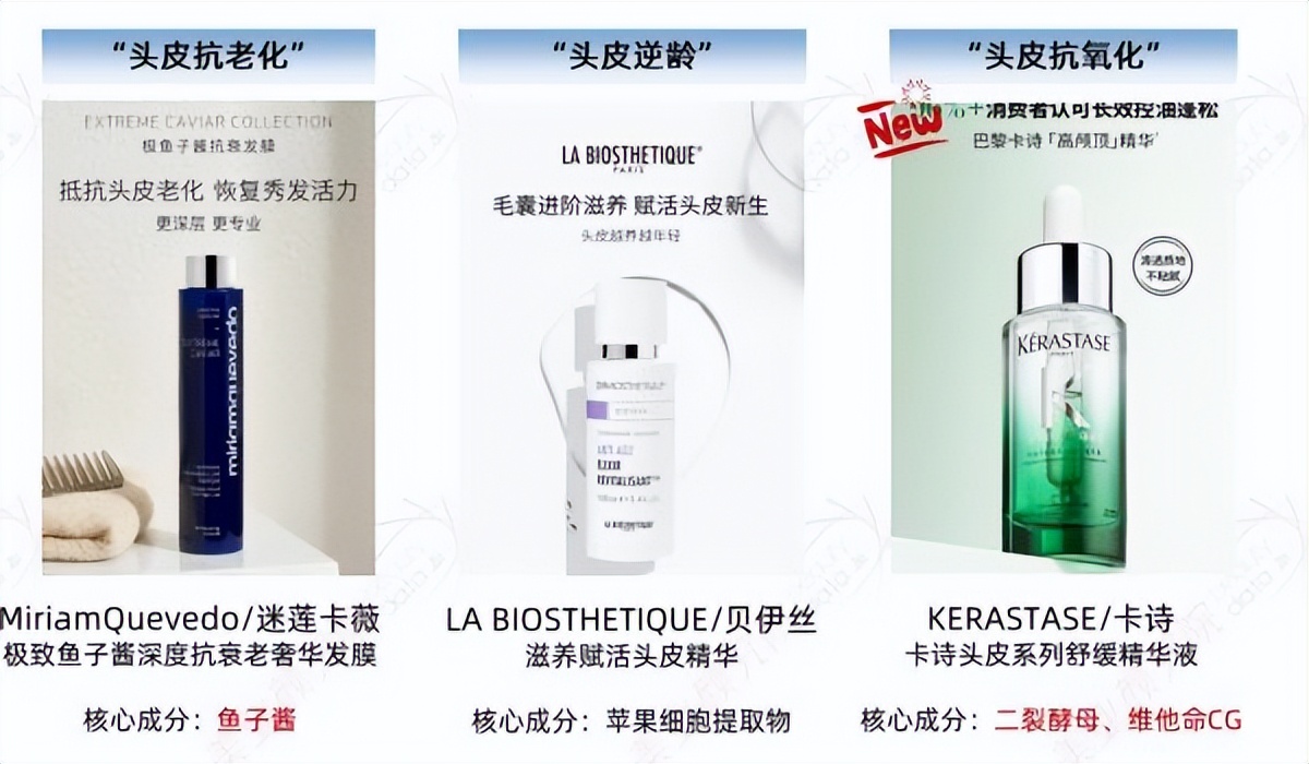 抗衰老赛道,抗衰老赛道分析