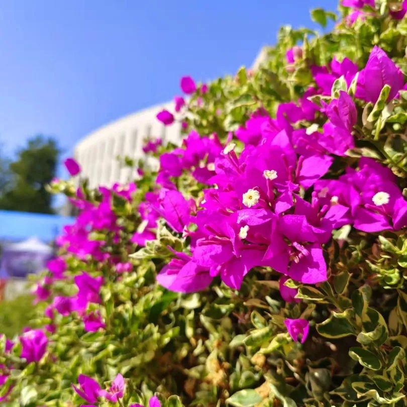 深圳宝安图书馆最新开放时间,深圳罗湖区图书馆什么时候开放