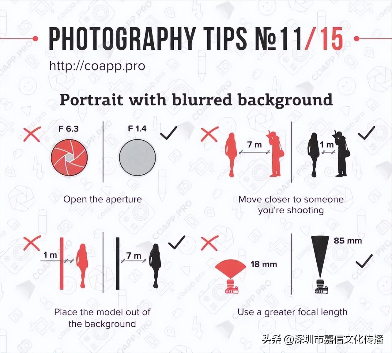 摄影的基础知识题目,摄影的基础是什么