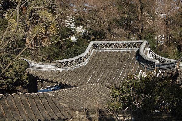 一级致癌物石棉是什么东西,石棉为什么被列为致癌物