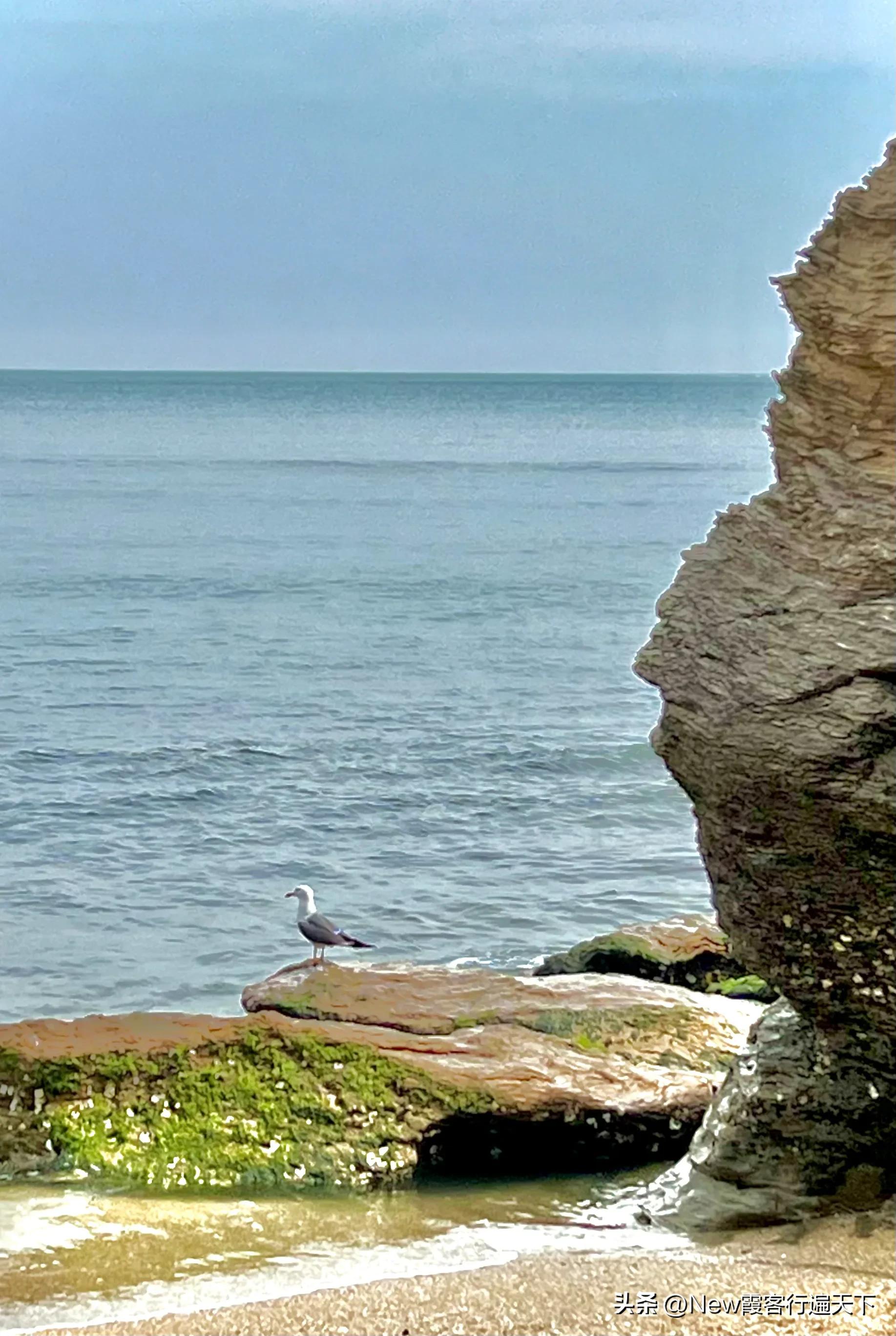 大连滨海路木栈道旅游攻略,周末徒步徜徉大连山海美景