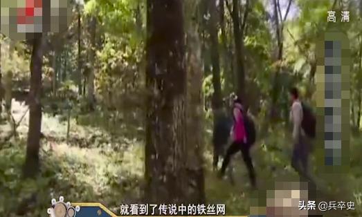 野猪林诡异事件,野猪林神秘事件