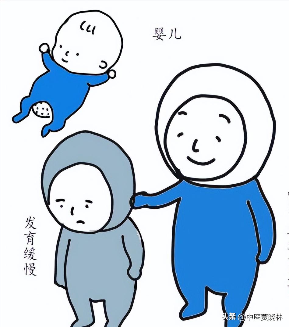 养肾等于养命最全养肾食物大全,养肾护肾的十个方法