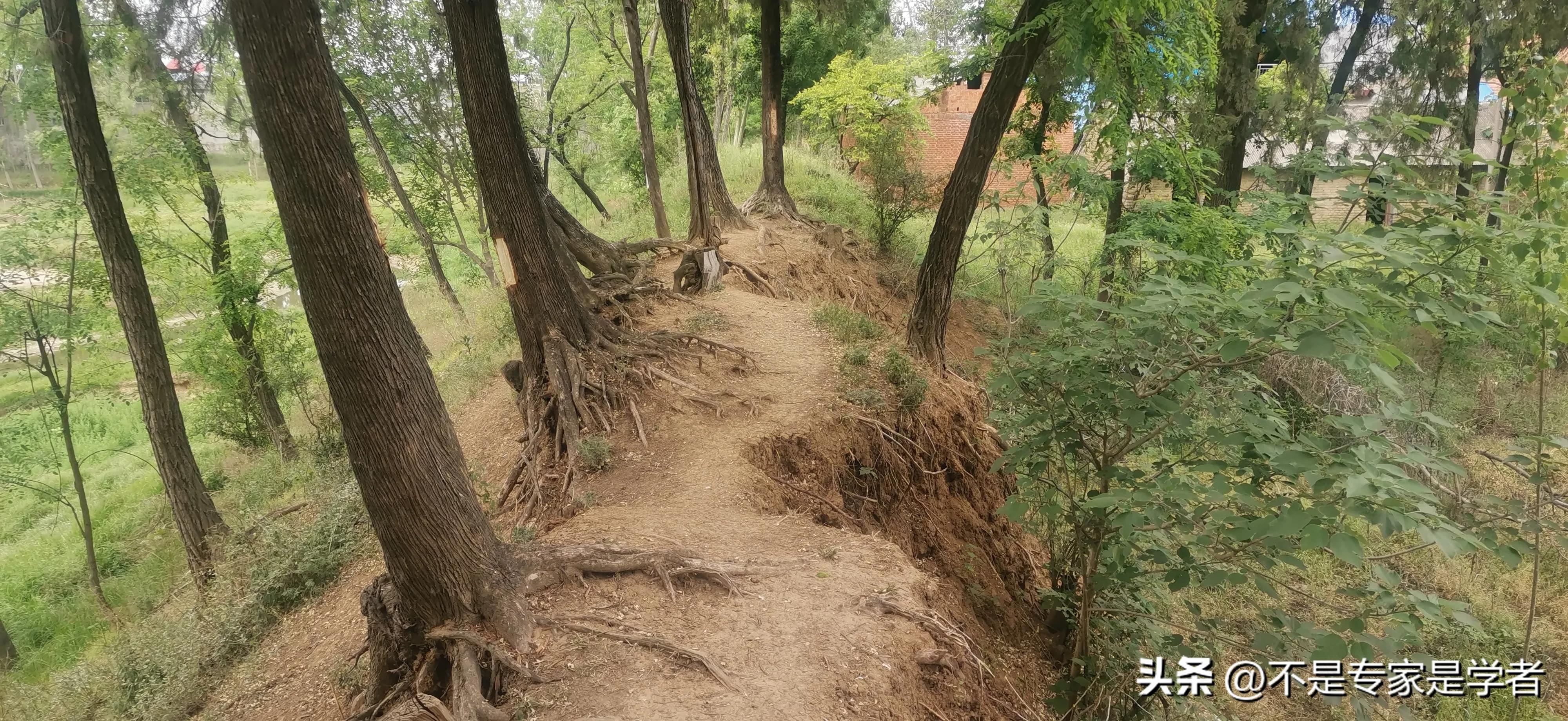 山东与河南版图有一个狭长地带,三省交界的地方河南安徽山东