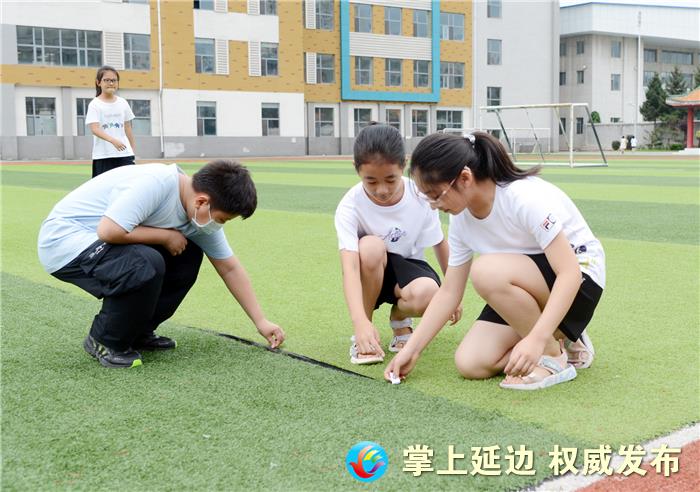 延吉龙龙照片,延吉龙龙宣传片