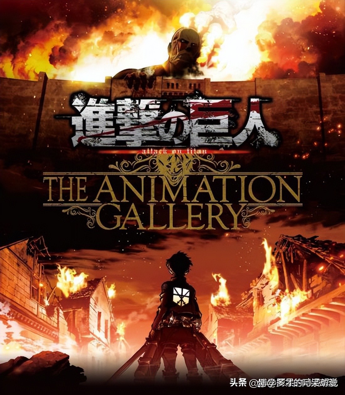 热门的动漫有哪些,有哪些好看热度不高的动漫