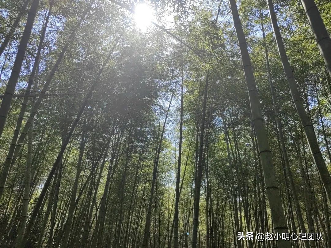 儿童夏令营七天游玩,古镇儿童夏令营