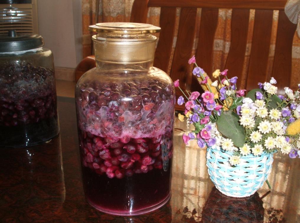 老板给员工喝自制的“桑葚酒”，反被说成“毒酒”？老板：我好冤