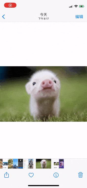 iphone相册权限在哪里打开,iphone私密相册怎么打开