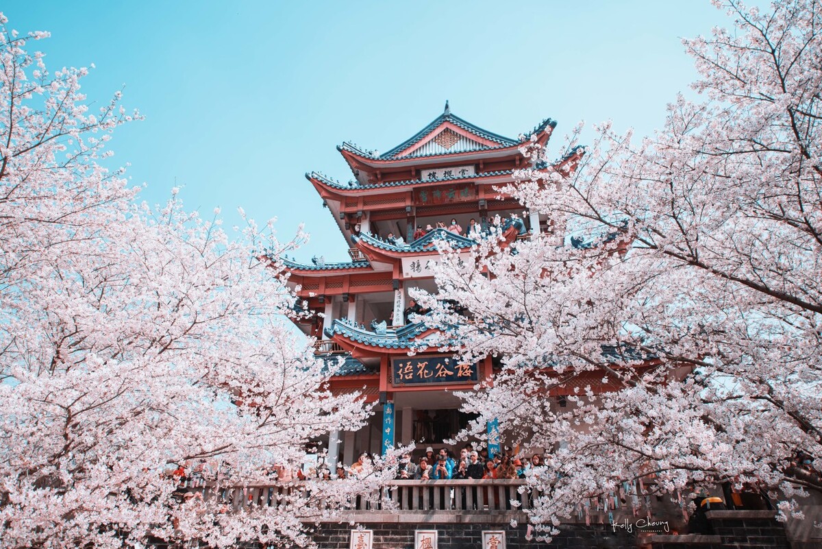 无锡秋季旅游景点攻略推荐,无锡赏秋游玩攻略