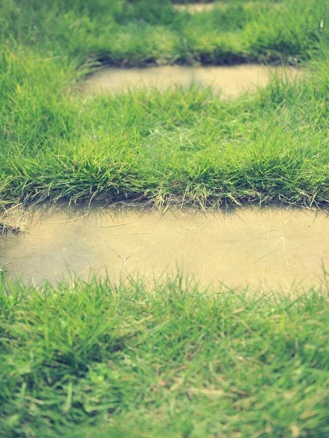 绿草自然风景图片,惊艳高清山水花草风景图片