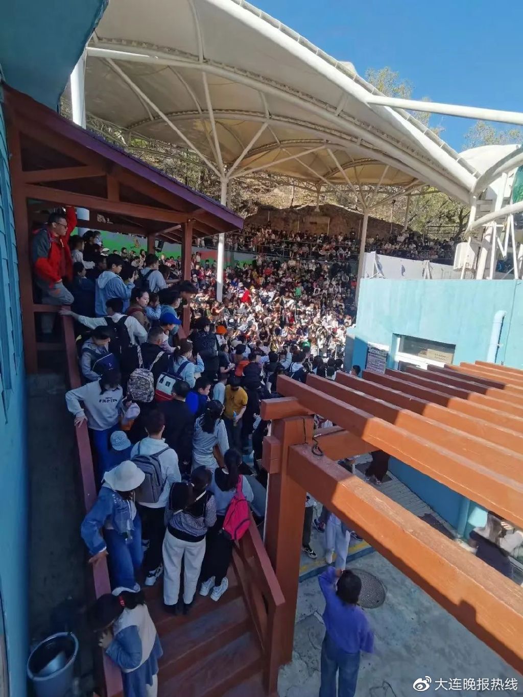 房子涨7倍,信用卡本金还了利息超本金7倍