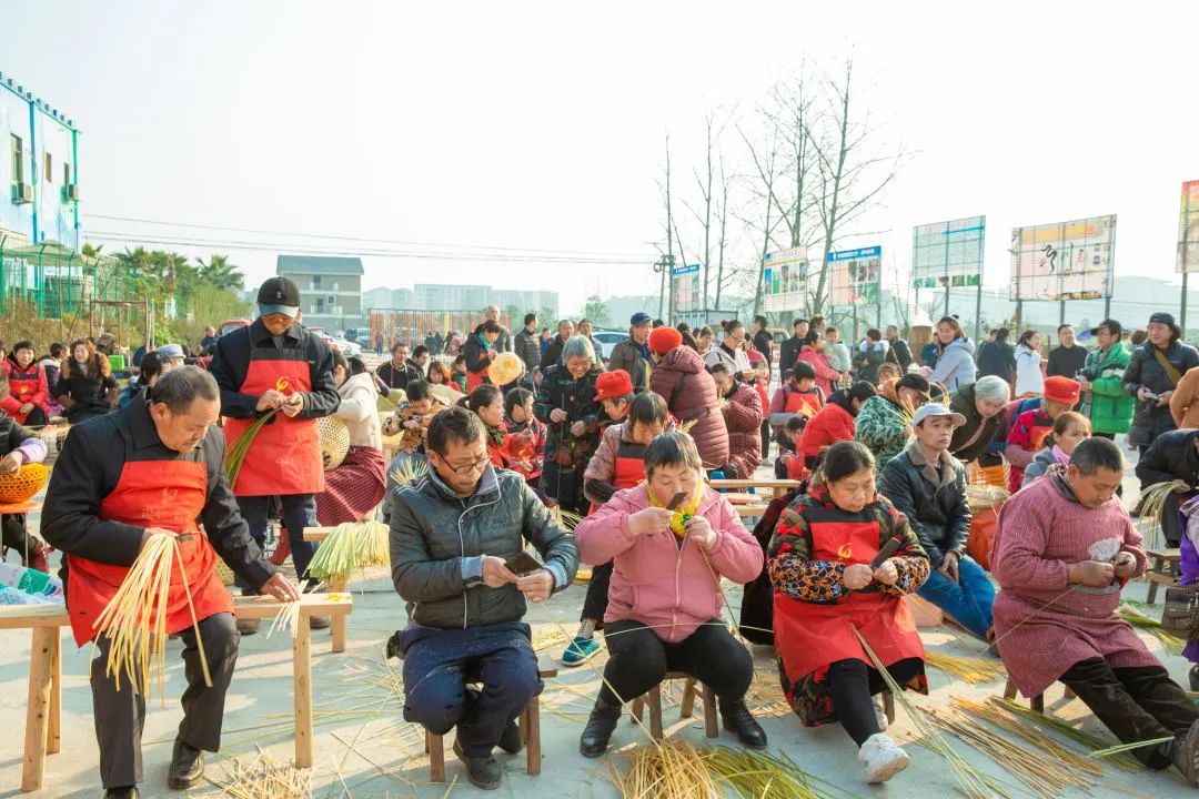 我当人大代表这一年征文,我当人大代表这一年履职故事