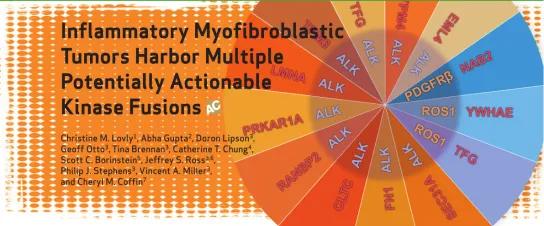 胰腺炎症性肌纤维母细胞瘤,炎症性肌纤维母细胞瘤