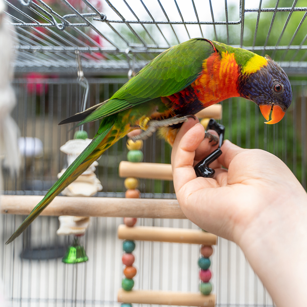 百元级别真无线耳机的轻体验,百元真无线蓝牙耳机音质天花板