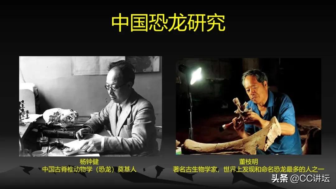 海洋恐龙和陆地恐龙,海洋恐龙与陆地生物对比