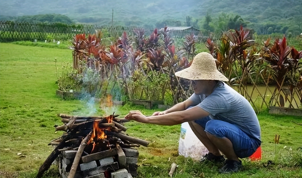 如何规划经营百亩农场才能更赚钱,共享农场模式1.9亩收入20万